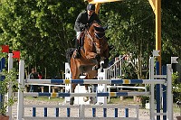 IMG_0036