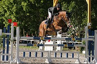 IMG_0082