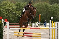 IMG_0003