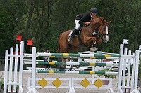 IMG_0041