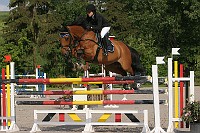IMG_0053