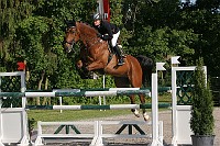 IMG_0013
