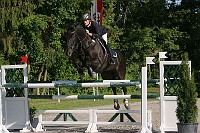 IMG_0017