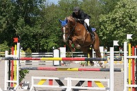 IMG_0078