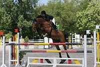 IMG_0106