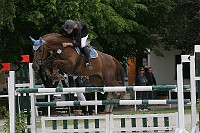 IMG_0015
