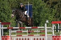 IMG_0006