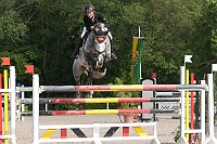 IMG_0081
