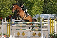 IMG_0006