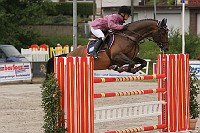 IMG_0061