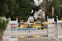 IMG_0049
