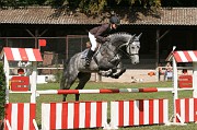 IMG_0062