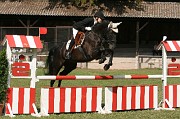 IMG_0078