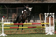 IMG_0079