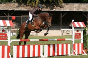 IMG_0081