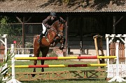 IMG_0082