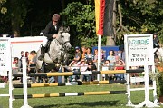 IMG_0225