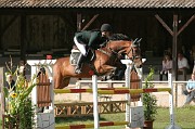 IMG_0229