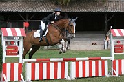 IMG_0004