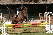 IMG_0009