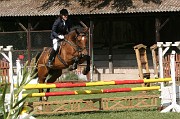 IMG_0012