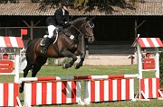 IMG_0017
