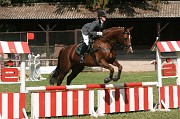 IMG_0021