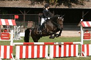 IMG_0024