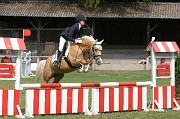 IMG_0027