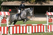 IMG_0029