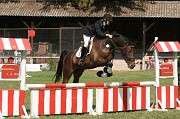 IMG_0032