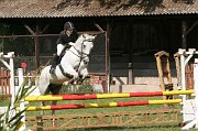 IMG_0036