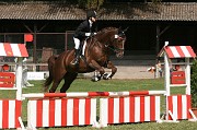 IMG_0041