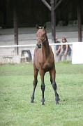 IMG_0090