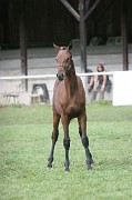 IMG_0091