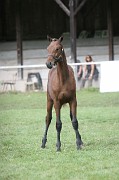 IMG_0093