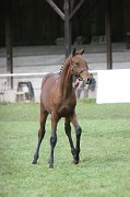 IMG_0094