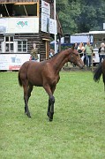 IMG_0114