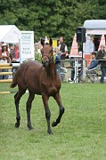IMG_0116