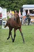 IMG_0117