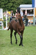 IMG_0118