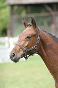 IMG_0144