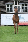 IMG_0096