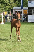 IMG_0131