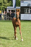 IMG_0133