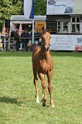IMG_0134