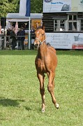 IMG_0136