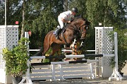 IMG_0050