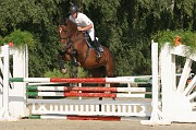 IMG_0082