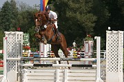 IMG_0019